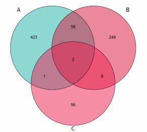 LEfSe analysis highlighting the differences among resistance gene groups.
